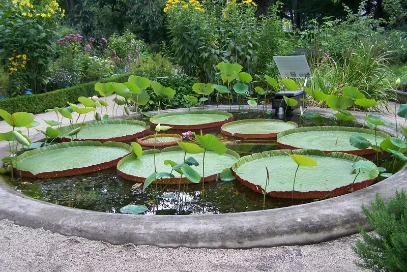 اماکن تفریحی