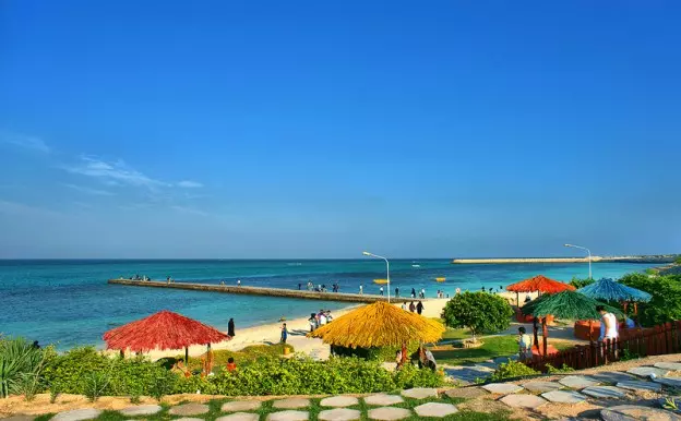 ساحل مرجان کیش