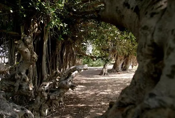 اماکن تفریحی