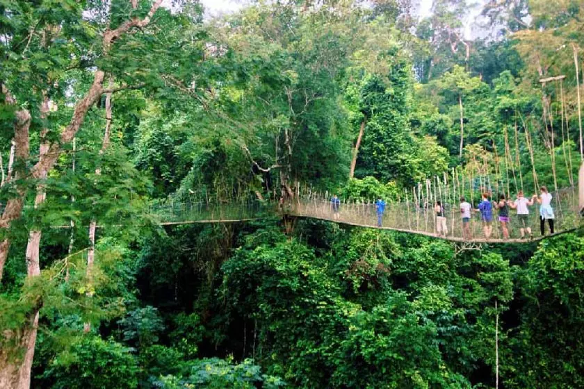 تامان نگارا (Taman Negara)