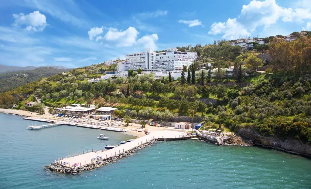 افسوس پرینسس