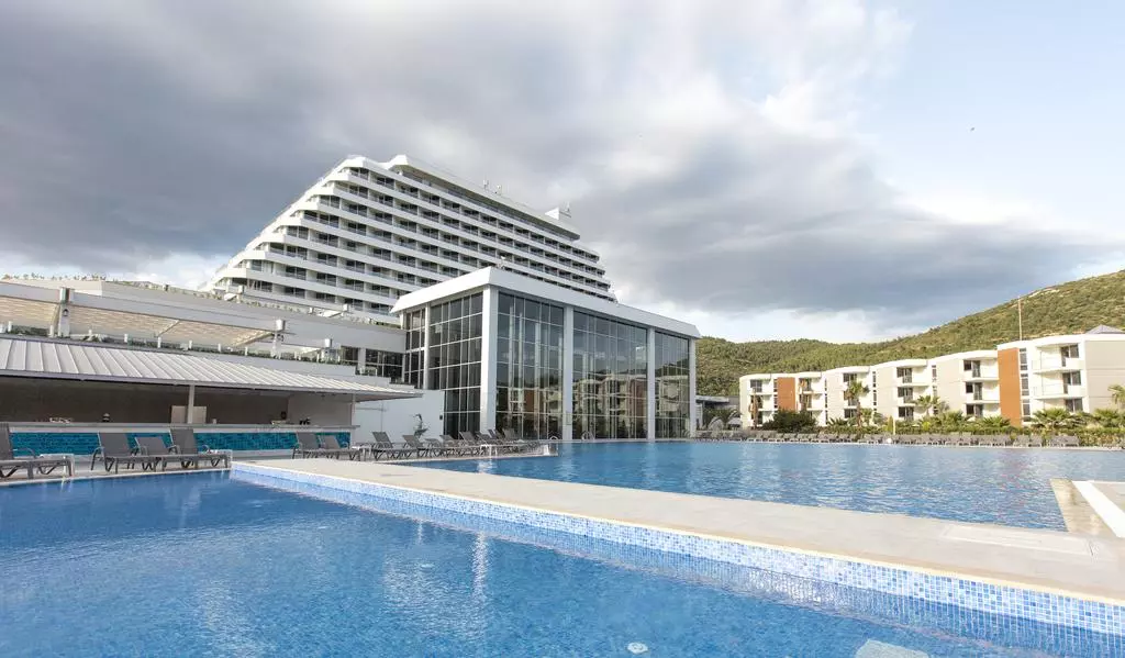 پالم وینگز افسوس