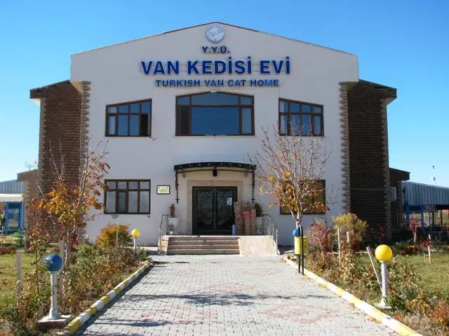 خانه گربه های وان