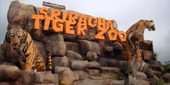 باغ وحش ببرها