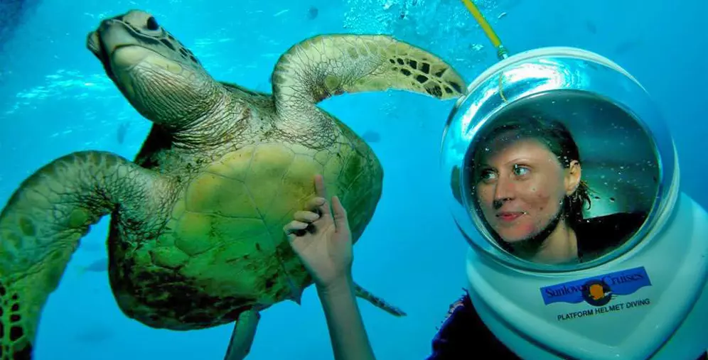 گشت زیر دریا (‏Bali Seawalker‏)‏‎