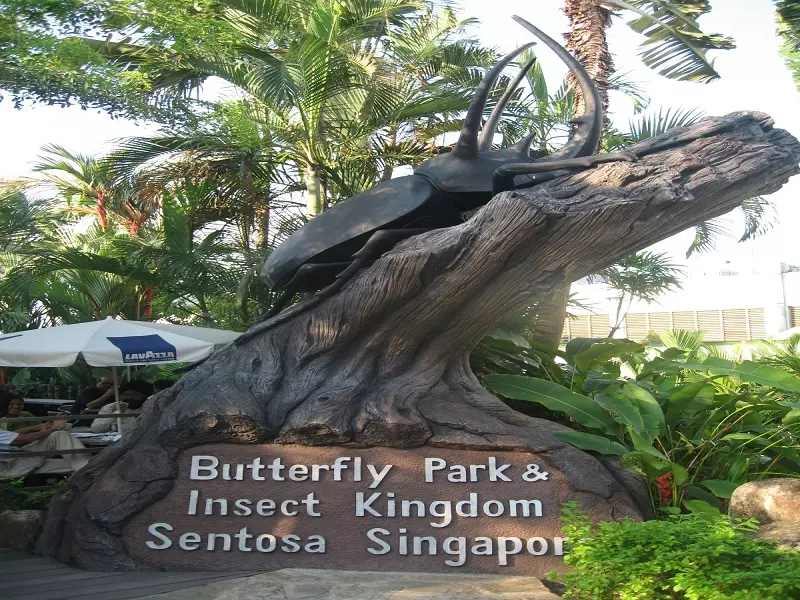 butterfly park and insect kingdom