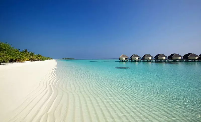 درباره ی مالدیو