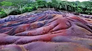 زمین رنگ شده چامارل موریس