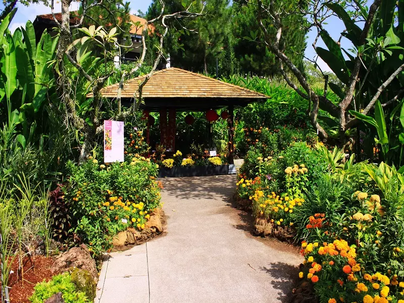 باغ  گیاه شناسی سنگاپور