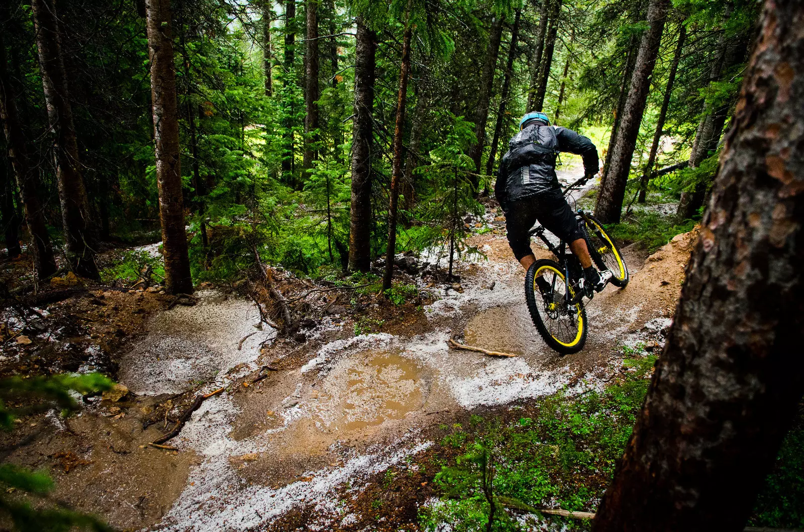 تورهای دوچرخه سواری