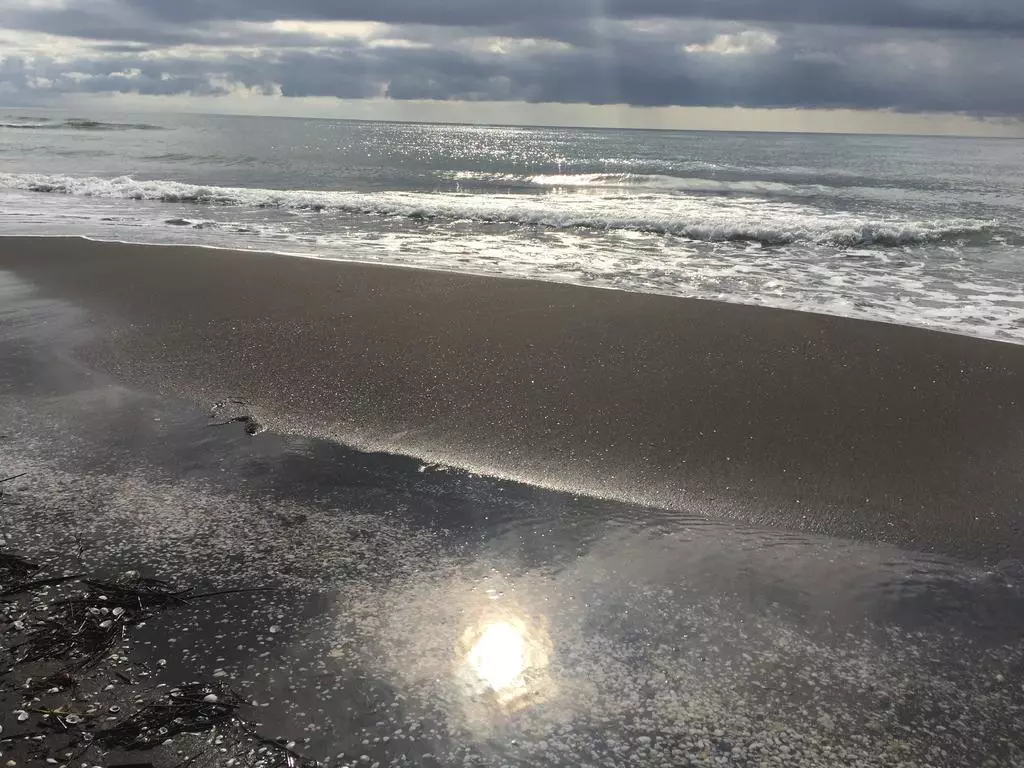 ساحل سحر آمیز