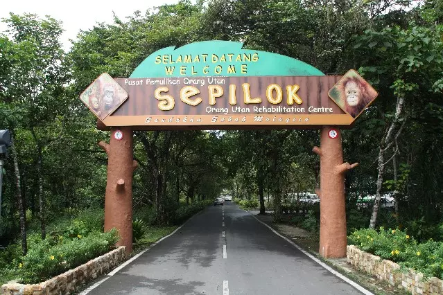 مرکز توانبخشی Sepilok