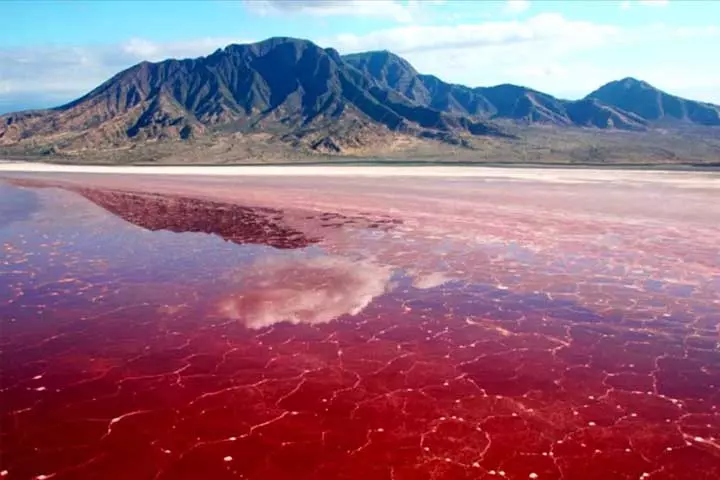 تالاب لیپار